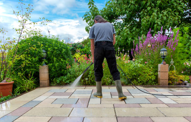Trusted Adwolf, VA Pressure Washing Services Experts